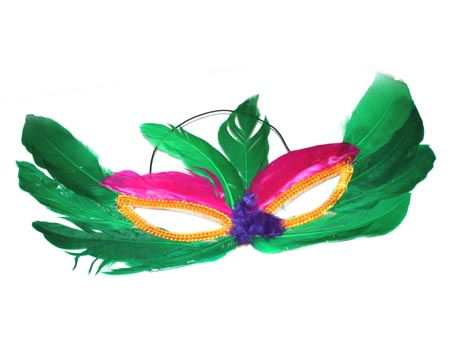 Image 15